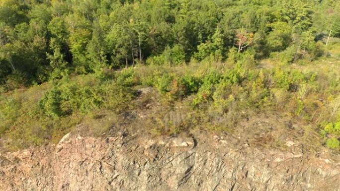 无人机在上方的森林侧面看到带有TNT exposive标记的石头