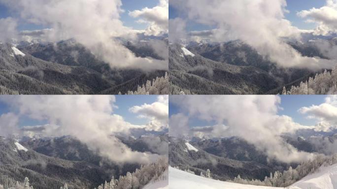 在多云的天空背景下，低地的雪松枞树令人惊叹的后视。山谷无人驾驶飞机视野中薄雾笼罩的光辉冬季森林。白雪