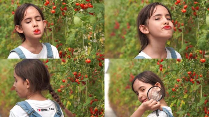 年轻女孩在oganic农场吃新鲜西红柿，转基因食品，生物食品，另类ifestyle概念