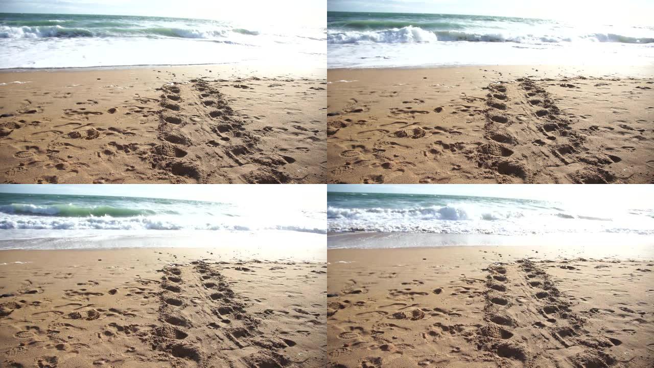母龟脚印在海滩上产卵自然环境中的生活美丽澳大利亚班达伯格昆士兰