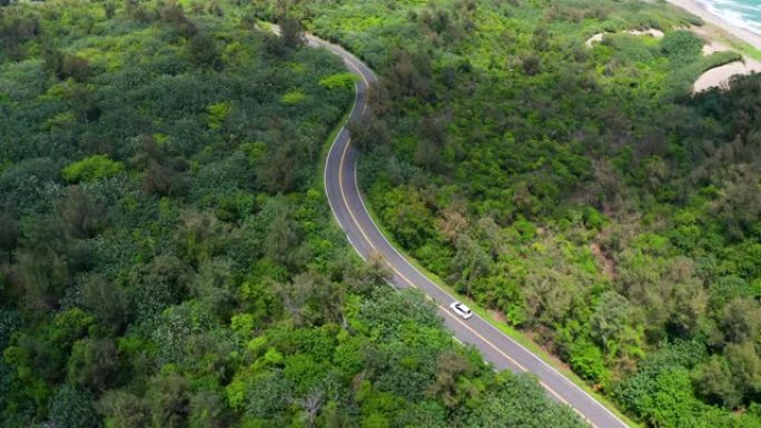 美丽的绿色森林和海岸的道路鸟瞰图