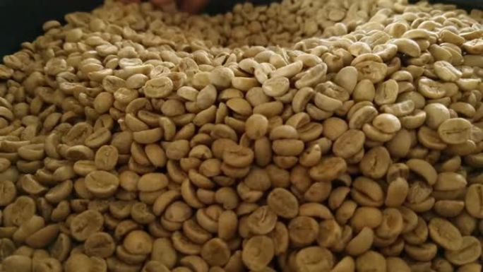 一位咖啡经验丰富的人检查了咖啡豆的烘焙，以查看其质地，颜色，高品质的选择。意大利的概念，卓越的品质和
