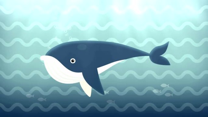 蓝色北方鲸在水下游泳