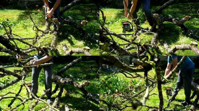 工人用电锯锯倒下的树枝。清洁花园。万向节运动