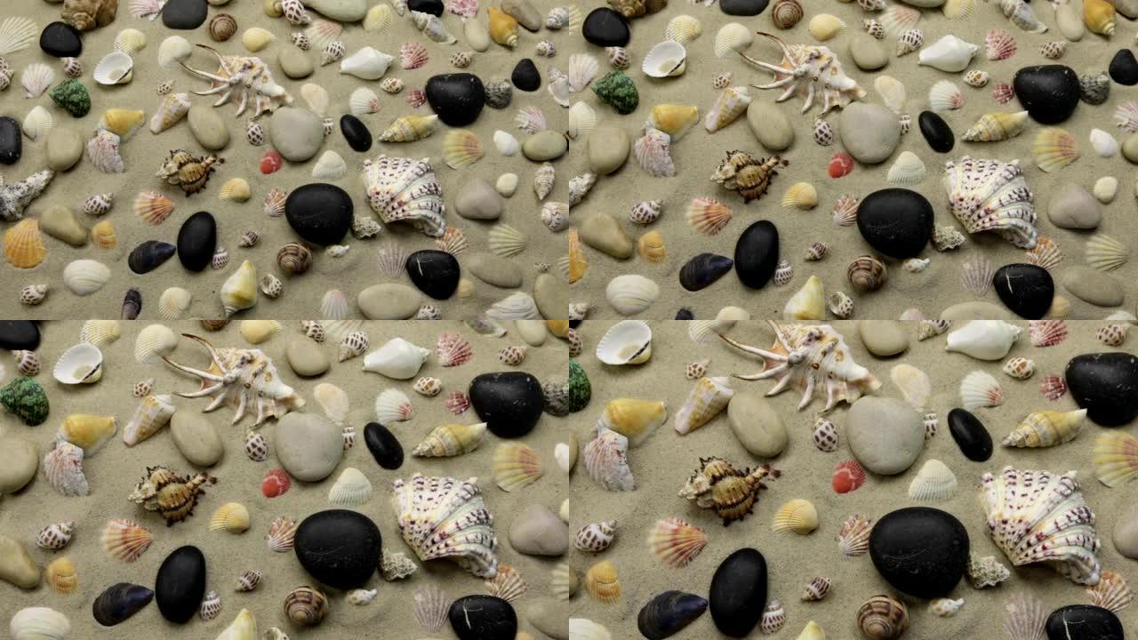 沙滩上贝壳和石头的彩色背景。缩放