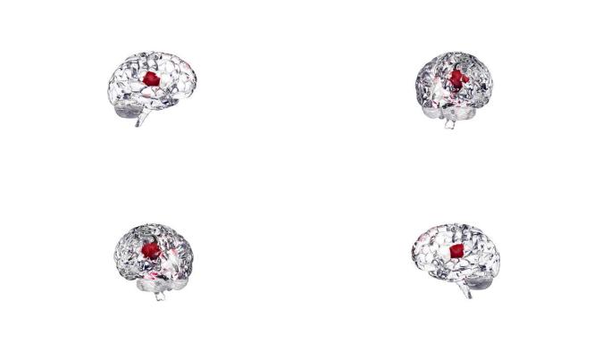 大脑的3d模型。人类大脑的玻璃模型在背景上旋转。人脑内部的人工智能
