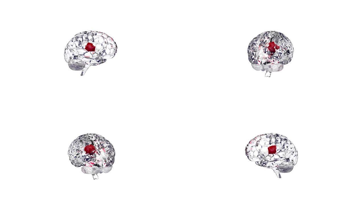 大脑的3d模型。人类大脑的玻璃模型在背景上旋转。人脑内部的人工智能