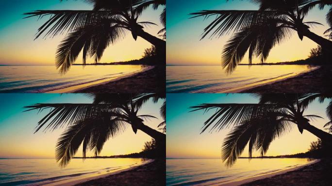 热带岛屿海滩和棕榈树上的日出。多米尼加共和国蓬塔卡纳