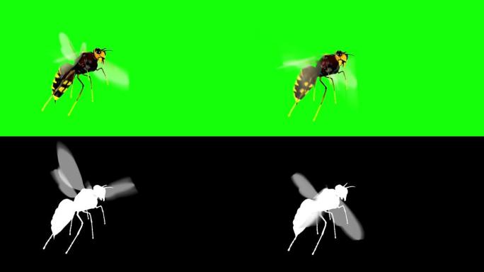 动画逼真的3D蜜蜂循环