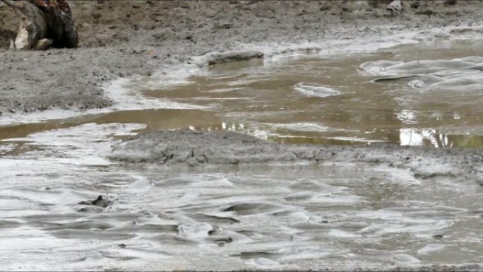 干旱期间，拥挤的cat鱼在干燥的池塘中挣扎着生存。除非下雨，否则carfish注定要死。有时有人会发