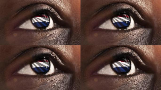 女人的黑眼睛在近距离与旗帜荷兰鸢尾与风的运动。视频的概念