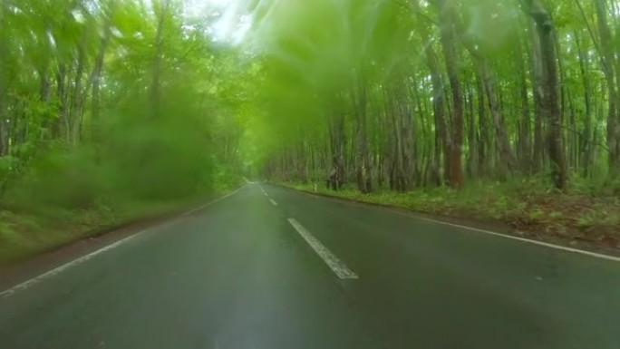 在雨林中行驶乡间小路