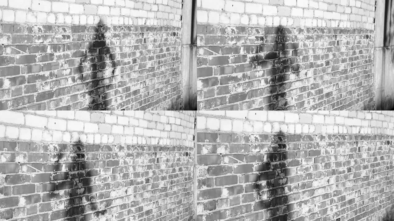 日落时，一个年轻女孩在肮脏的砖墙附近跳舞的影子剪影。黑白视频。慢动作