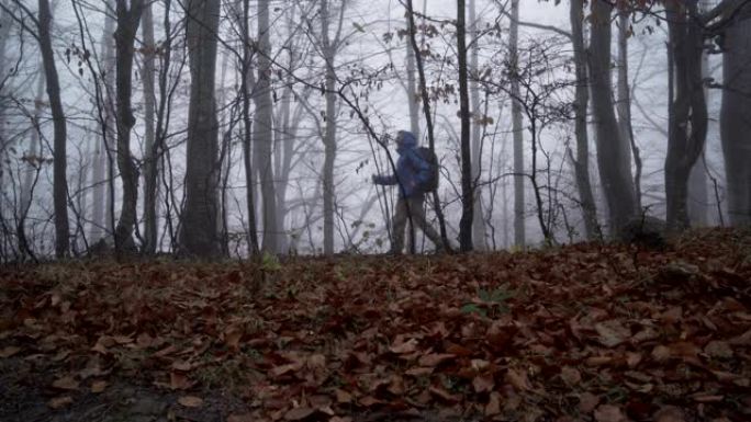 疲惫的迷路男性游客，手杖在雾蒙蒙的森林中徘徊