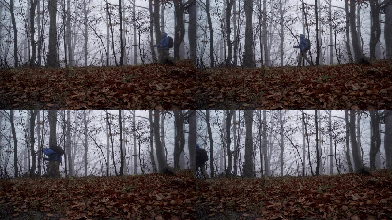 疲惫的迷路男性游客，手杖在雾蒙蒙的森林中徘徊