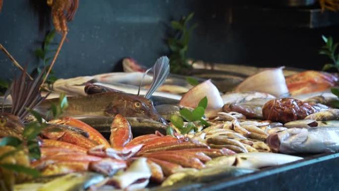 市场上的新鲜鱼类食材超市鱼类