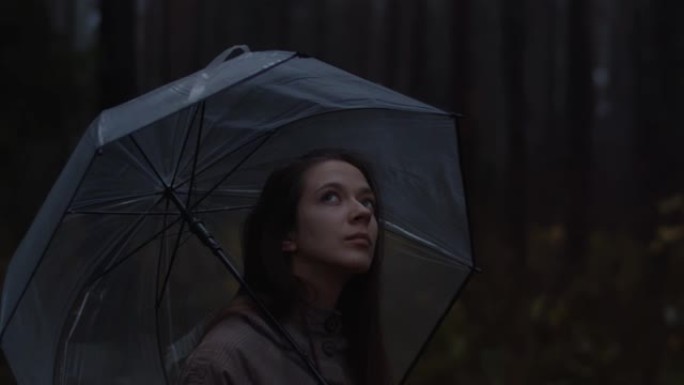 迷人的年轻女孩站在森林的雨伞下。开伞的好看女人仰望天空，享受大自然。孤独的女性在森林梦中漫步，并认为