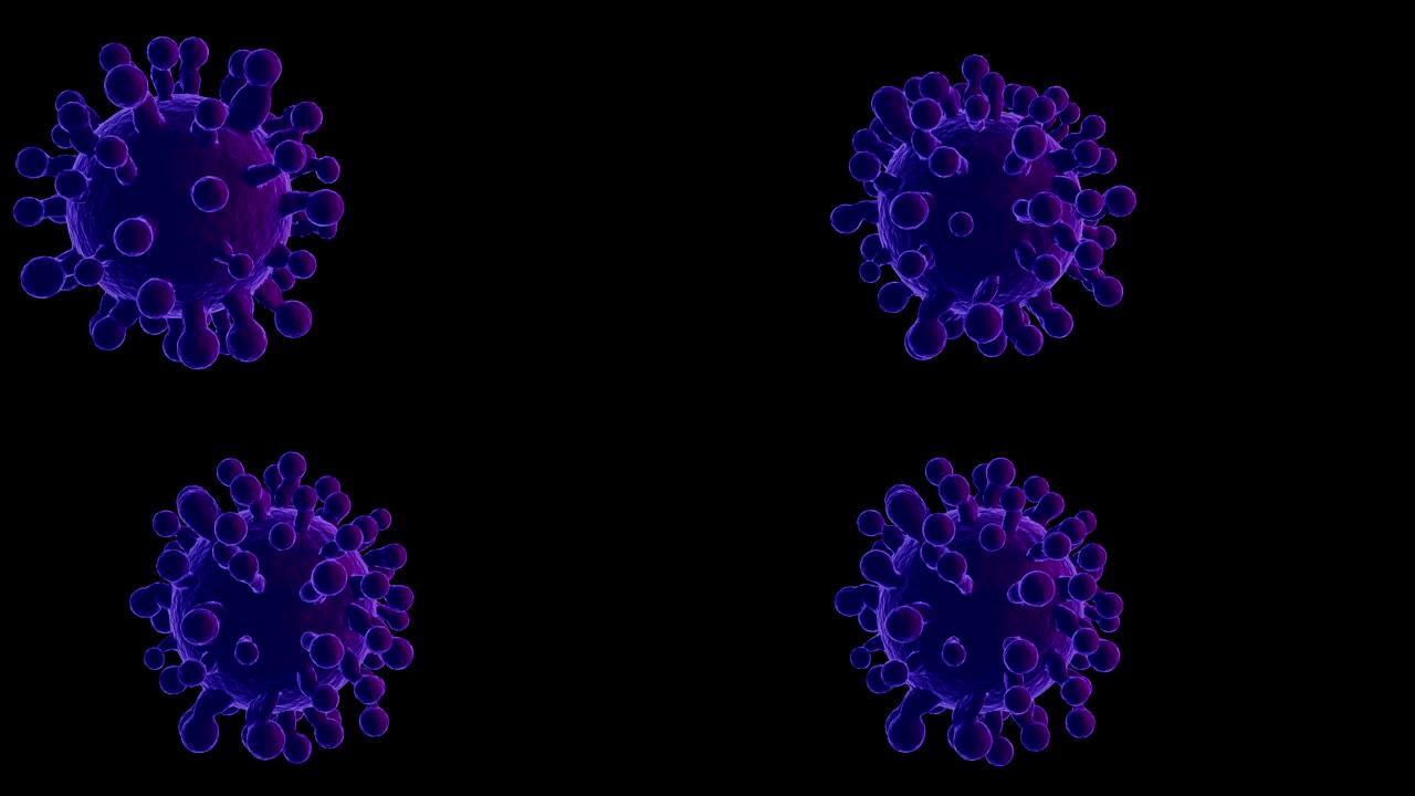 黑色背景上的冠状病毒 (新型冠状病毒肺炎) 医学动画。