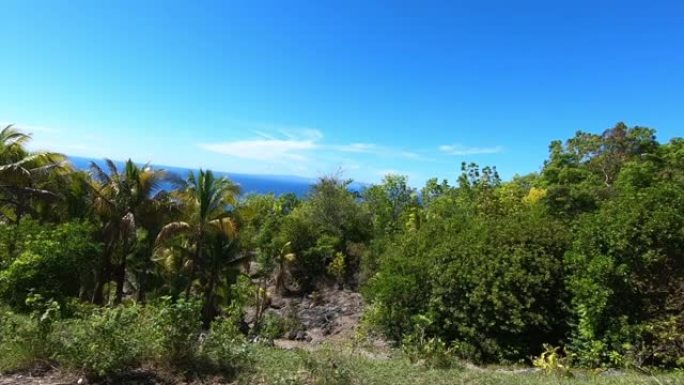 沿着菲律宾海岸骑摩托车，oslob晴天，热带岛屿，热带天气，晴朗的蓝天，pov拍摄，沿途的棕榈树。1