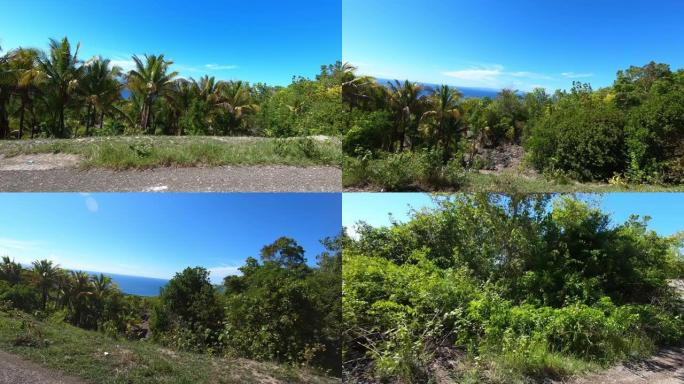 沿着菲律宾海岸骑摩托车，oslob晴天，热带岛屿，热带天气，晴朗的蓝天，pov拍摄，沿途的棕榈树。1