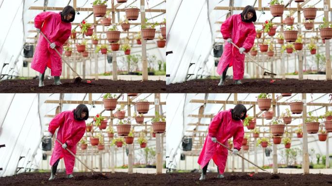 穿着粉红色雨衣的年轻亚洲女园丁的全长照片，在商业温室中，用耙子在悬挂的盆花中松动土壤