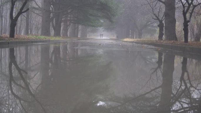 秋天在人行道上下雨后的小巷。