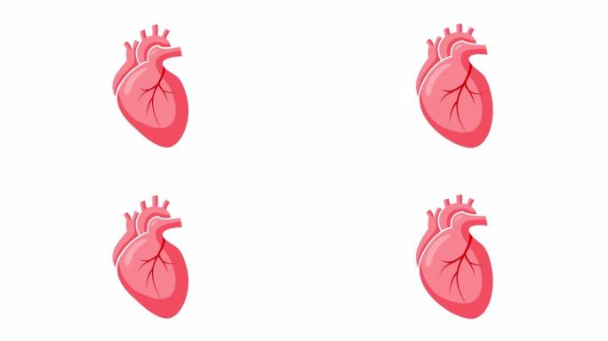 抽象人的心脏跳动。人身体部分动画。