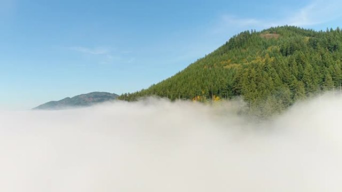 美国华盛顿州西北部常绿森林山脉以下晴朗天气反转低雾