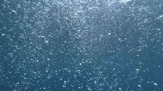 气泡从海底漂浮到水面的缓慢运动。蓝色水中的气泡