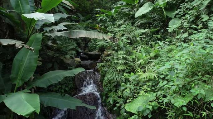 无人机鸟瞰接近热带瀑布与美丽的小溪在热带雨林南亚