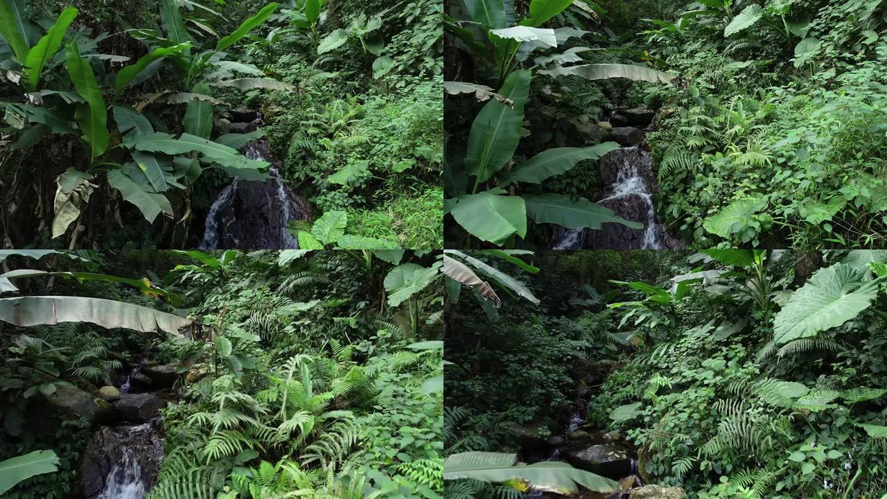无人机鸟瞰接近热带瀑布与美丽的小溪在热带雨林南亚