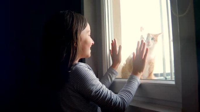 小女孩喜欢窗前的猫