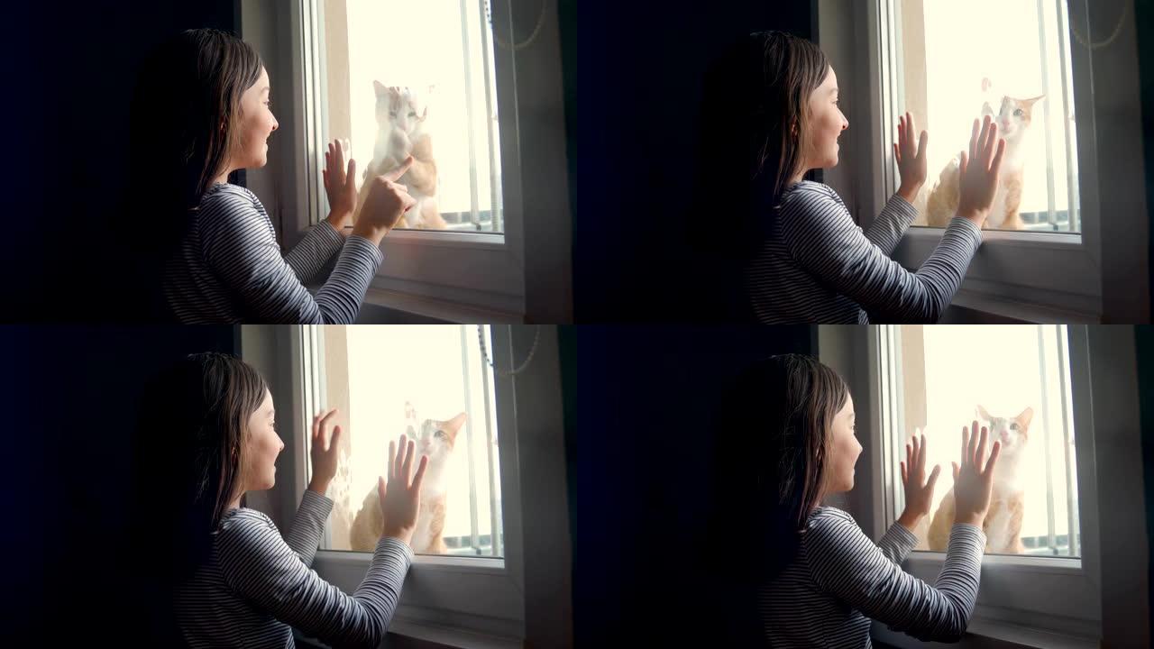 小女孩喜欢窗前的猫