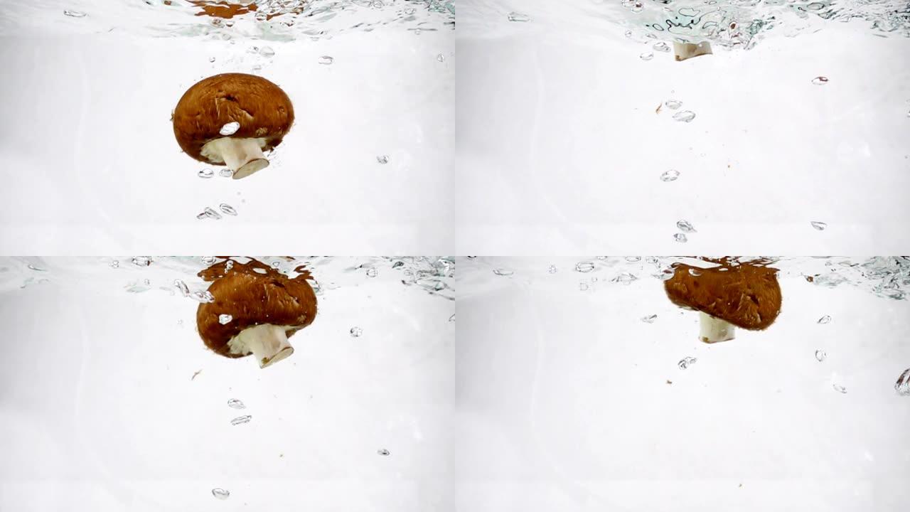蘑菇棕香菇慢慢沉入沸水中，慢动作特写