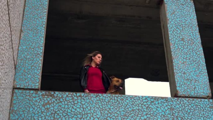 在一只美国斯塔福德郡犬犬和他的情妇的框架中，一个年轻的金发女孩在窗户上打开了一座废弃的废墟建筑。