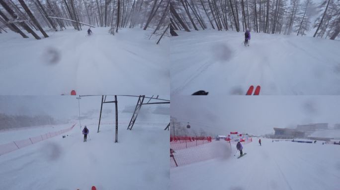 野雪小树林双板滑雪跟拍4K