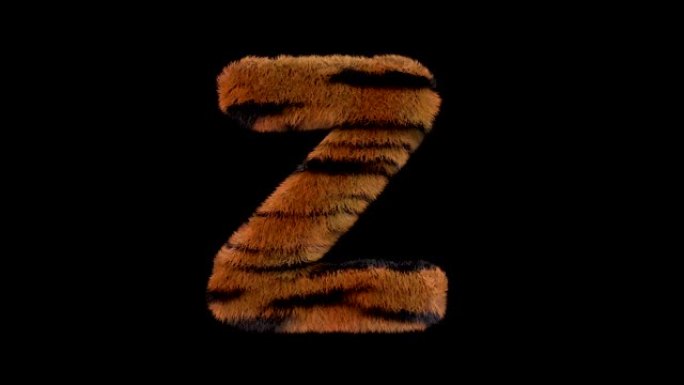 动画毛茸茸的动物园老虎文字字体Z