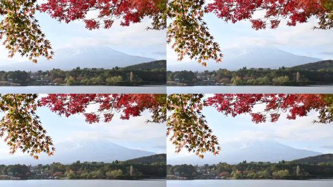 从秋天著名的景点河口湖看富士山