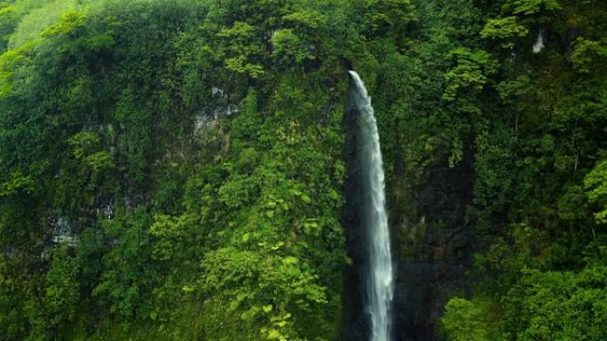 太平洋岛屿上茂密的热带森林中的瀑布。鸟瞰图。法属波利尼西亚。自然旅行概念。