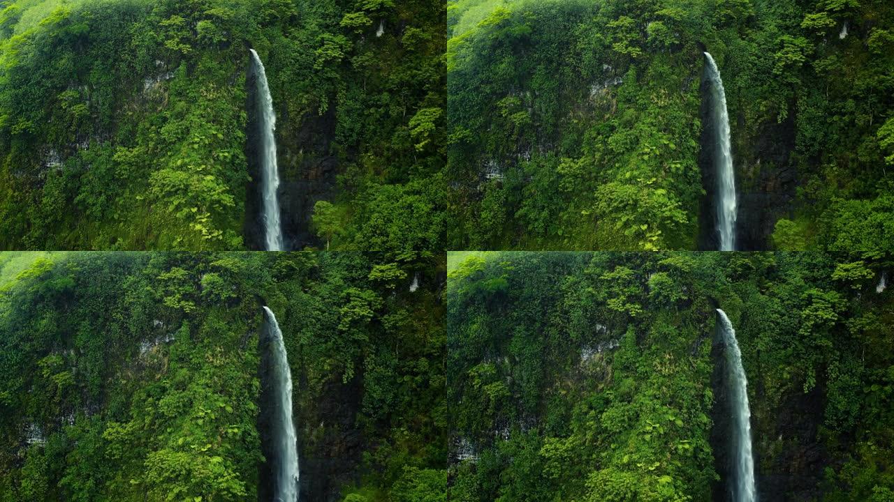 太平洋岛屿上茂密的热带森林中的瀑布。鸟瞰图。法属波利尼西亚。自然旅行概念。