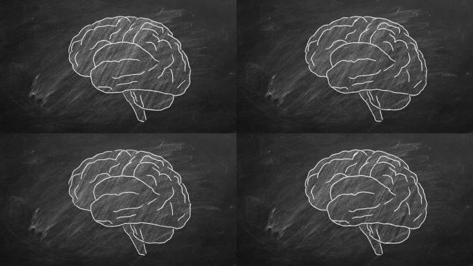人脑粉笔大脑动画粉笔线条大脑粉笔画