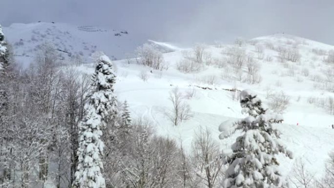 鸟瞰冬山雪树。无人机景观滑雪者骑在野山雪坡上的滑雪板上。冬季度假胜地雪山上的运动员滑雪板