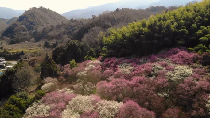 日本墨水