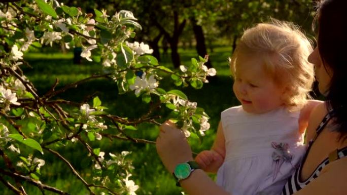 母亲和一个金发小女儿在苹果树上嗅花
