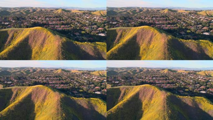 美国加利福尼亚州洛杉矶县圣莫尼卡山脉卡拉巴沙斯市前被黄色野花覆盖的山丘。具有向后摄像机运动的航空视频