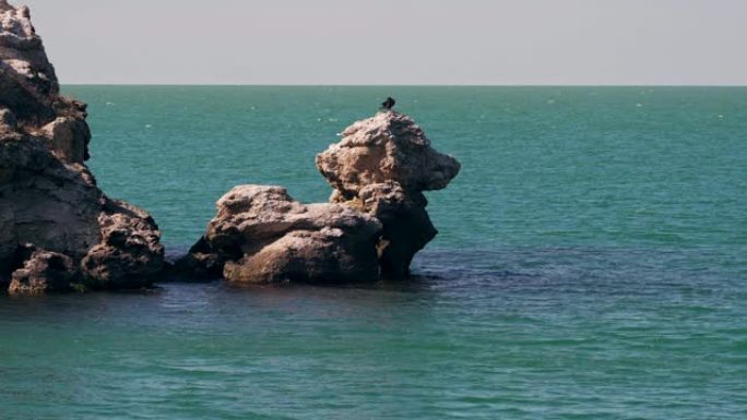 美丽而令人难以置信的岩石看起来像一只狗，海中有鸟