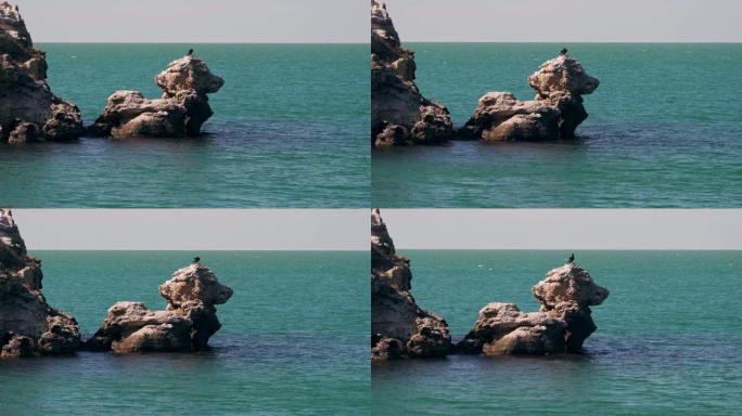 美丽而令人难以置信的岩石看起来像一只狗，海中有鸟