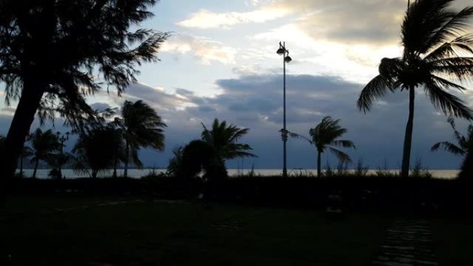越南美丽的海上日出。椰子树的叶子剪影