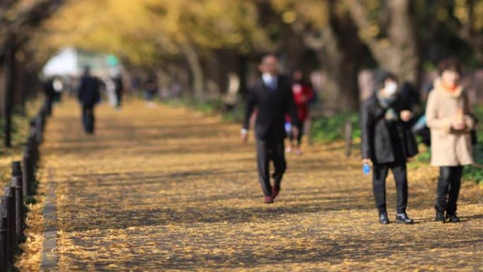 Walking people at the ginkgo street in Tokyo at au