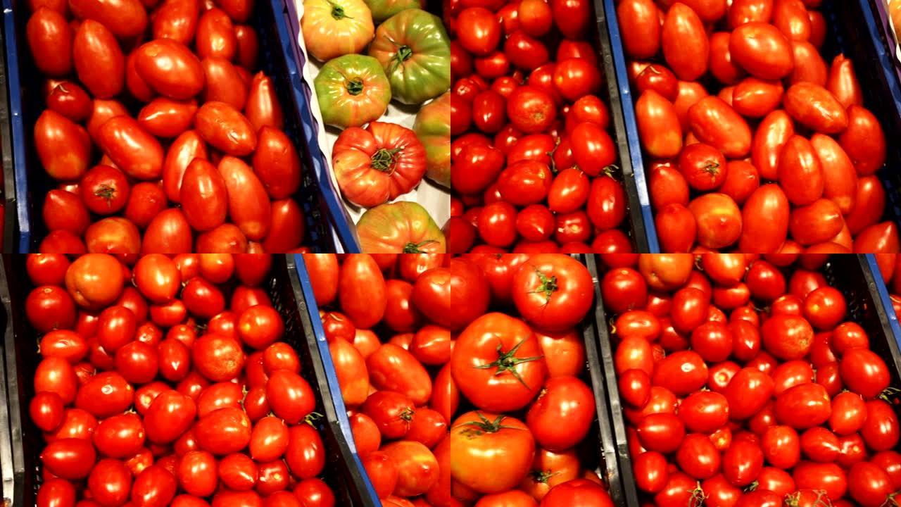 市场上塑料盒中的新鲜西红柿